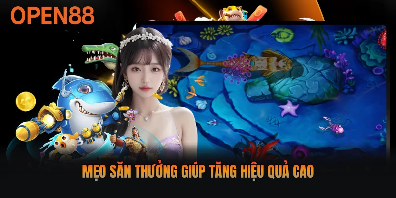 Mẹo săn thưởng giúp tăng hiệu quả cao