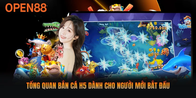 Tổng quan bắn cá H5 dành cho người mới bắt đầu