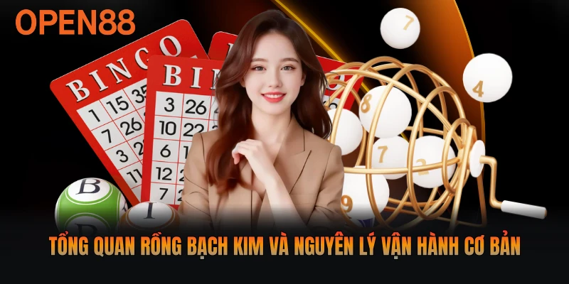 Tổng quan Rồng Bạch Kim và nguyên lý vận hành cơ bản